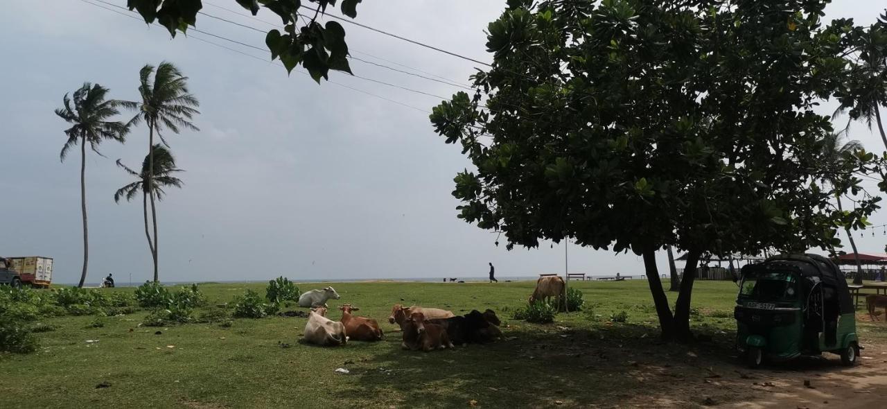 Gunne Fisherman House Weligama Buitenkant foto